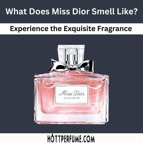 dior fragrance review|what does miss Dior smell like.